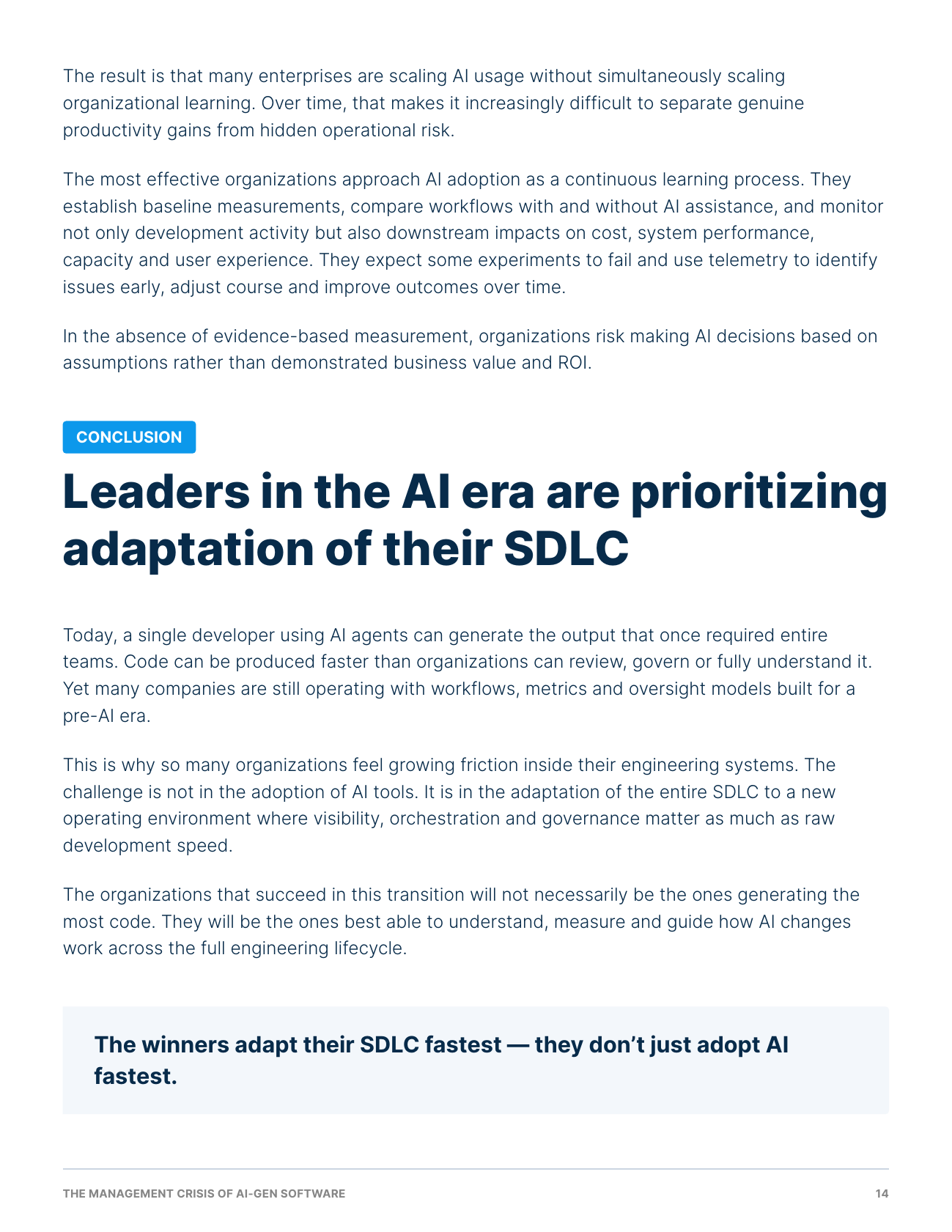 The Management Crisis of AI-Gen Software, page 15 of 17